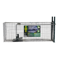 LEVEND VANGKOOI LARGE - 1 INGANG 