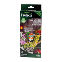 OEUFS DE CHRYSOPE OEUFS DE CHRYSOPE