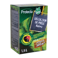 DÉCOCTION DE PRÊLE NATURA DÉCOCTION DE PRÊLE NATURA