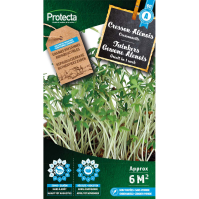 Tuinkers Gewone Alenois