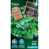 Peterselie Bladpeterselie 2