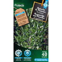 Rozemarijn van Provence