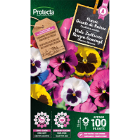 Viola Zwitserse Reuzen Gemengd