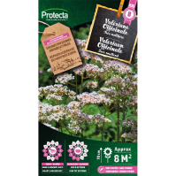 Valeriaan Officinale