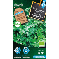 Peterselie Bladpeterselie 2