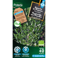 Rozemarijn van Provence