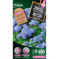 Ageratum Blue mink