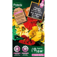 Oost-Indische kers Bijou 