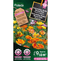 Eschscholtzia Dubbel Mission Bells