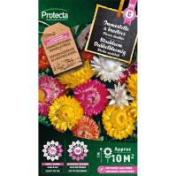 Strobloem Dubbelbloemig