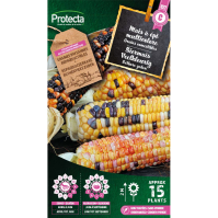 Siermaïs Veelkleurig