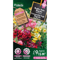 Leuuwenbek Lage Majestic