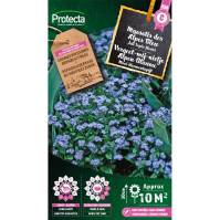 Vergeet-mij-nietje Alpen Blauwe