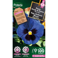 Viola Zwitserse Blauwe