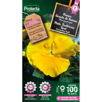 Viola Zwitserse Geel