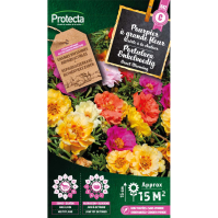 Portulaca Enkelvoedig