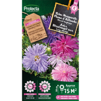 Aster  Struisvogel veer