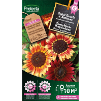 Zonnebloem Herfstschone