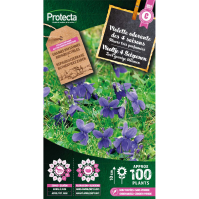 Viooltje 4 Seizoenen