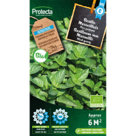 Basilicum van Marseille BIO