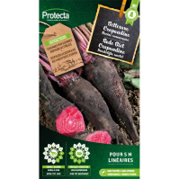 Rode Biet Crapaudine