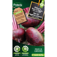 Rode biet Egyptische platronde