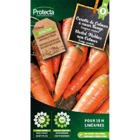 Wortel Flakkee van Colmar