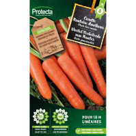 Wortel Verbeterde van Nantes