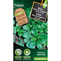 Veldsla Groene Cambrai