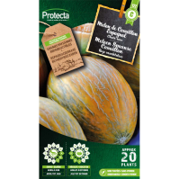 Meloen Spaanse Cavaillon