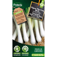 Stengelajuin Ishikura Long White