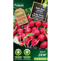 Radijs Ronde Scharlakenrode