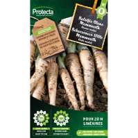 Schorseneer Witte Mammouth