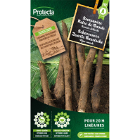 Schorseneer Zwarte Russische