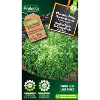 Krulandijvie Zelfkroppende