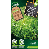 Krulandijvie Wallonne