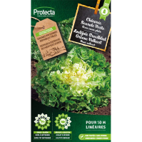 Andijvie Breedblad Groene Volhart 