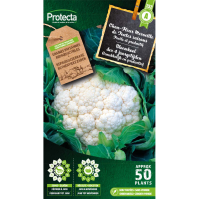 Bloemkool der 4 jaargetijden