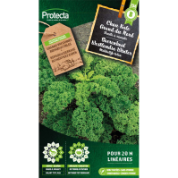 Boerenkool Westlandse Winter