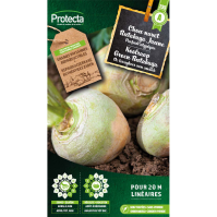 Koolraap Groen Rutabaga