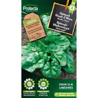 Spinazie Winterreuzen