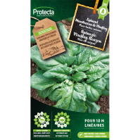 Spinazie Viroflay Reuzen