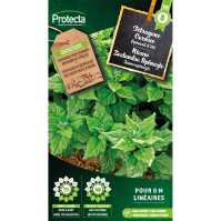 Nieuw Zeelandse Spinazie