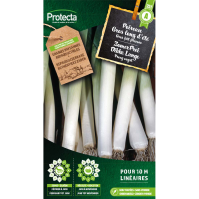 ZomerPrei Dikke Lange