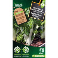 Snijbiet Blonde Witribbige 2