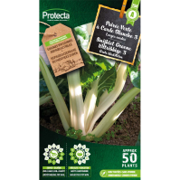 Snijbiet Groene Witribbige 3