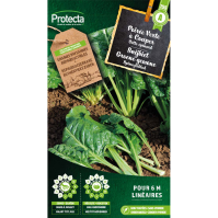 Snijbiet Groene gewone