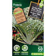 Kardoen Witte "Inerme"