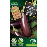 Aubergine van Barbentane