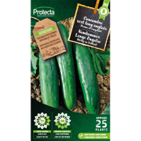 Komkommer Lange Engelse